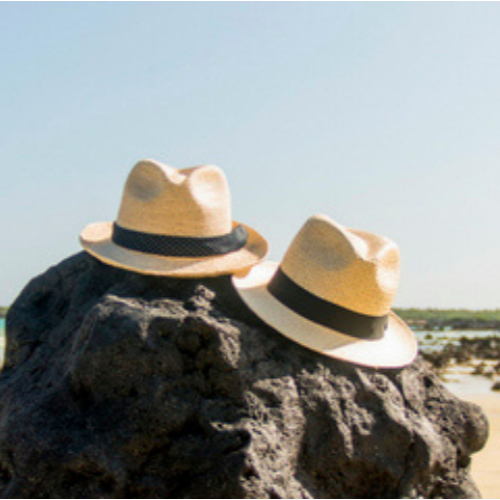 Panama hats