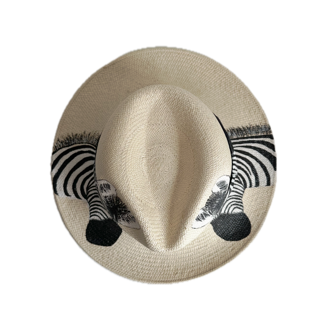 Sombrero Zebra